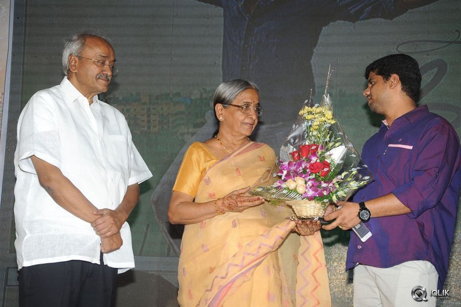 365-Days-Movie-Audio-Launch